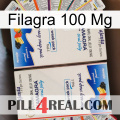 Filagra 100Mg kamagra1
